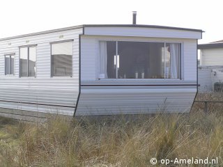 Lastminute Aalscholver Roosdunen