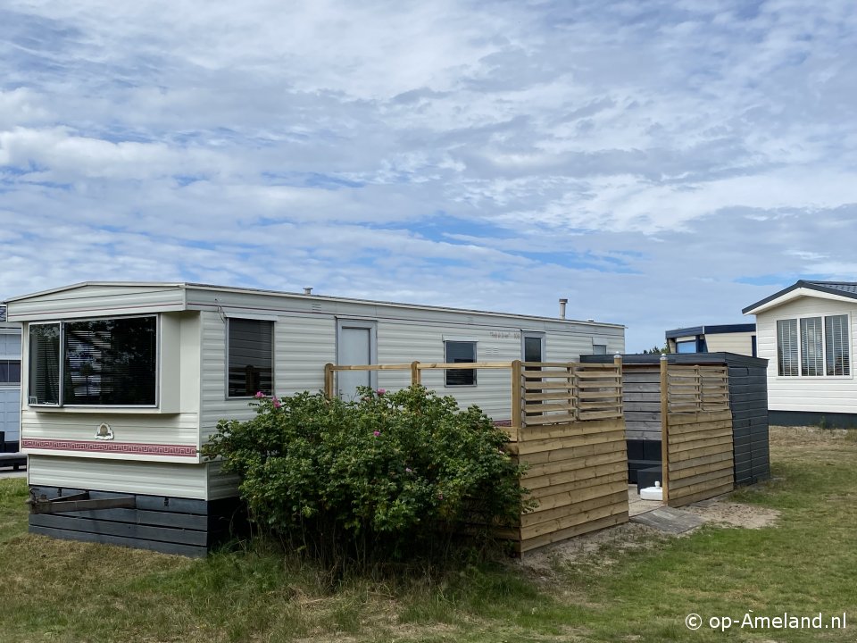 buitenaanzicht Bonte strandloper