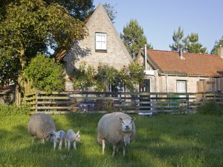 Lastminute Beppe van Ameland