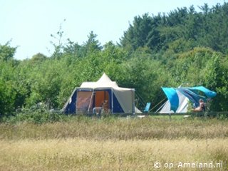 Lastminute ingerichte tent Oerd