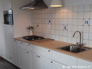  Fuut bij de vuurtoren