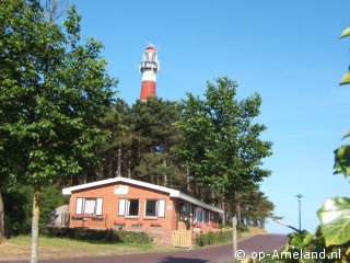 Kievit bij de vuurtoren