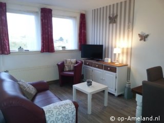  Kievit bij de vuurtoren