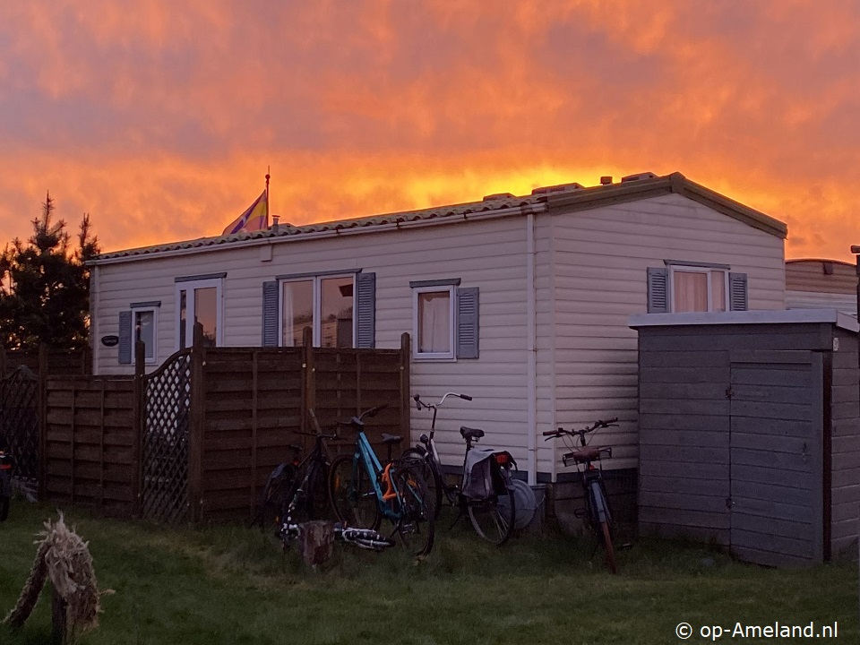 Lastminute Chalet 31 Roosdunen