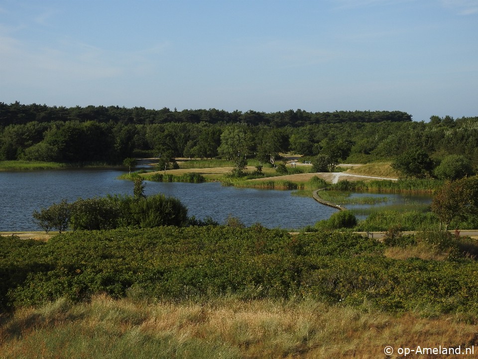  Bakema Noord