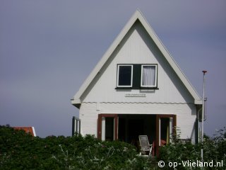  De Strandpluvier