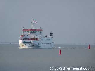 Weltnaturerbe Wattenmeer Schiermonnikoog