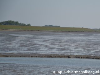 Werelderfgoed Waddenzee Schiermonnikoog