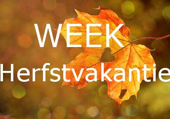 Woche im Herbstferien an der Zeeländinschen Küste